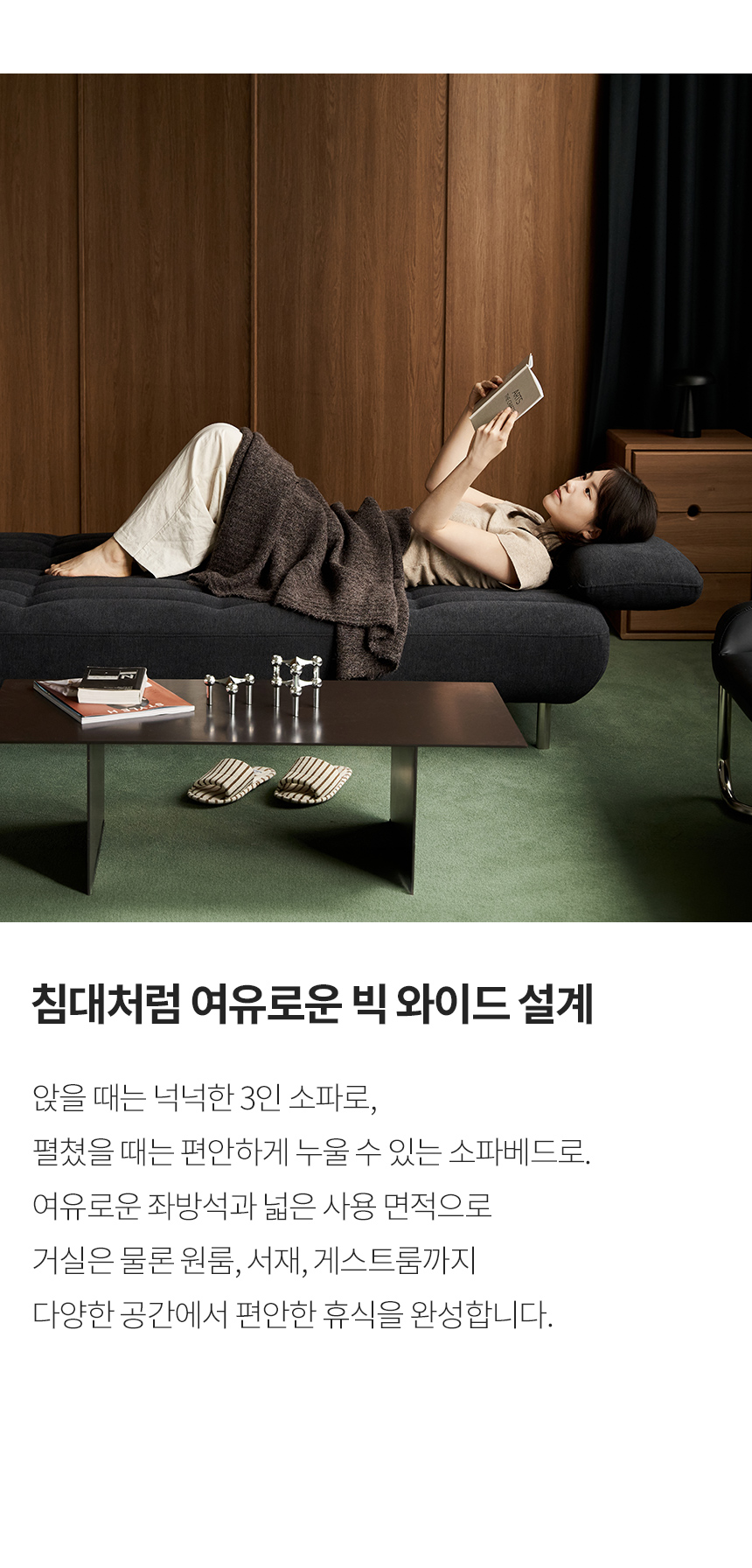 스칸디아 디어 3인용 팔걸이 스윙 접이식 소파베드 상세 이미지 17